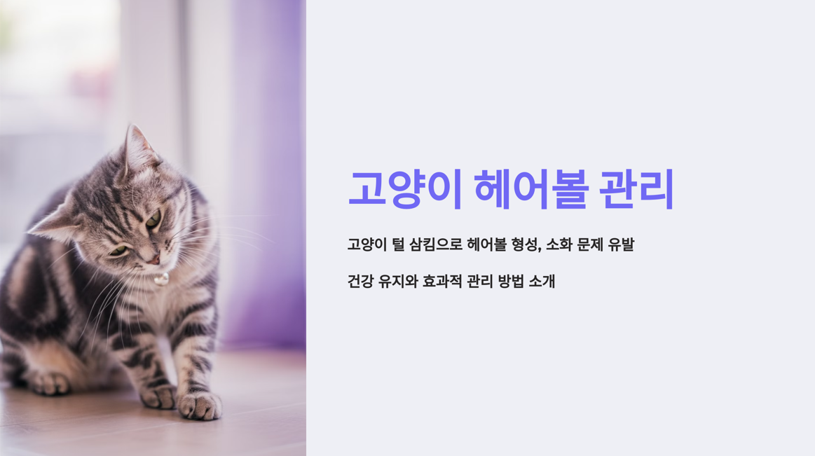 헤어볼 관리법