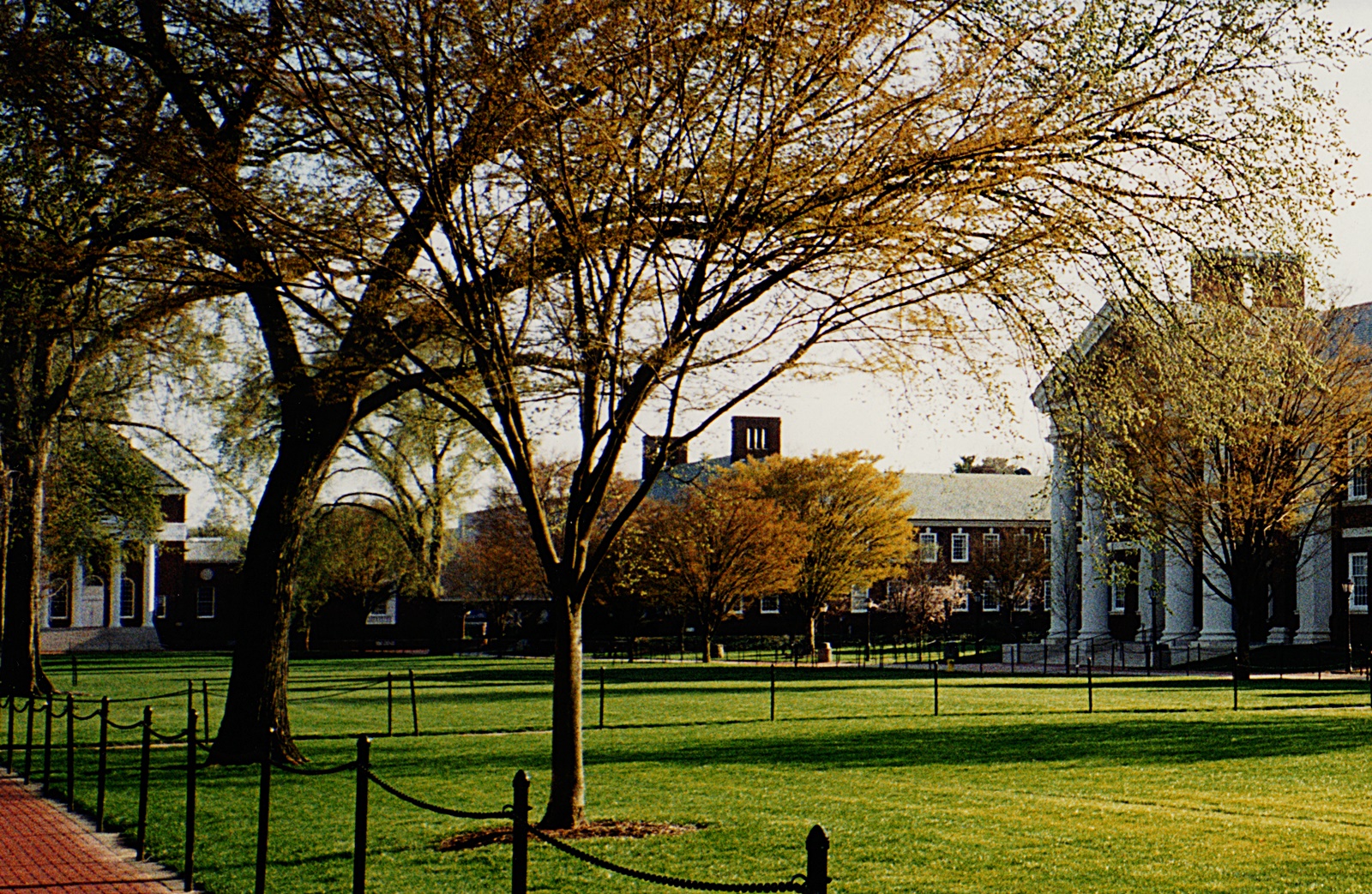델라웨어 대학 산책로