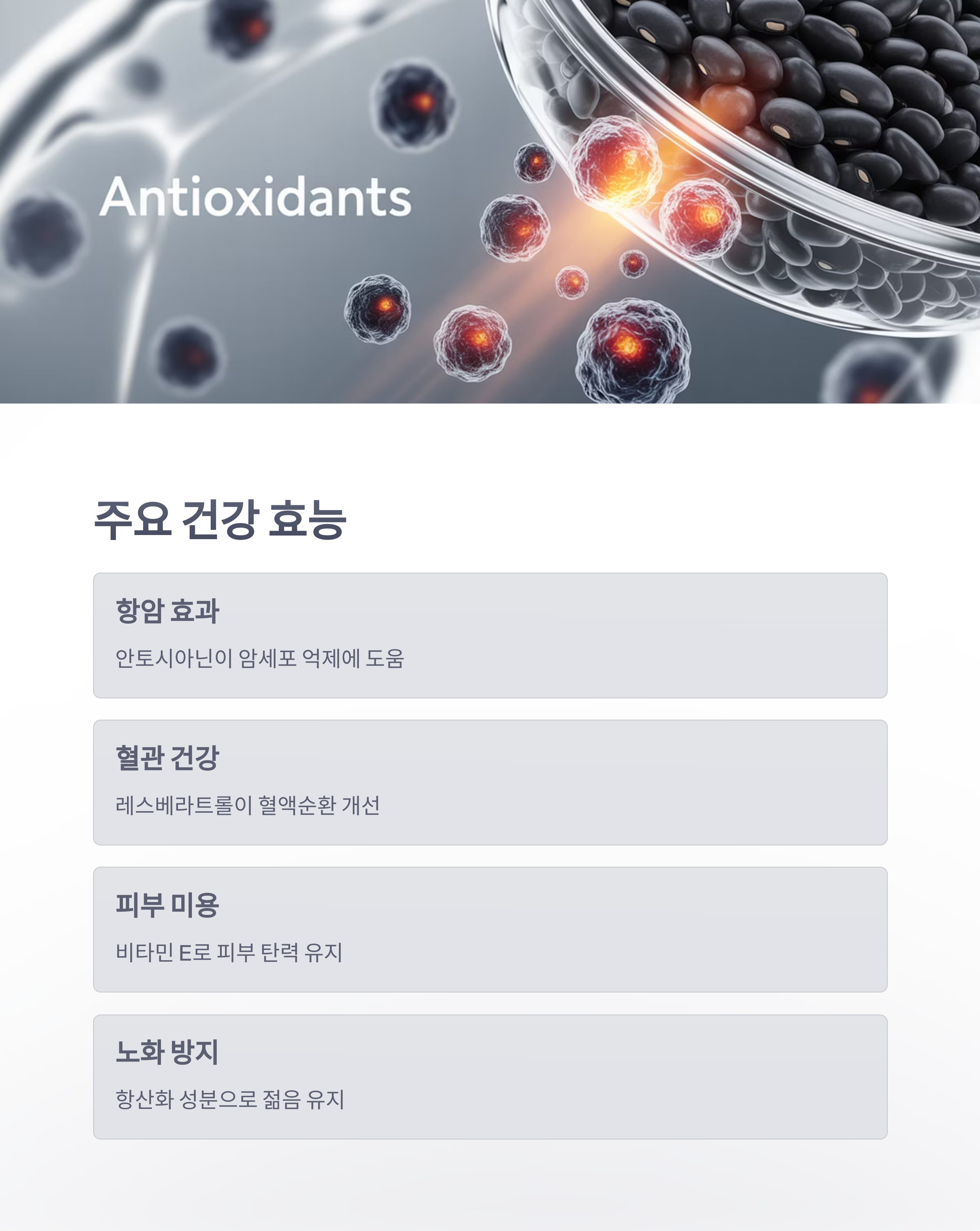 참조-유기농-항암검은콩-3