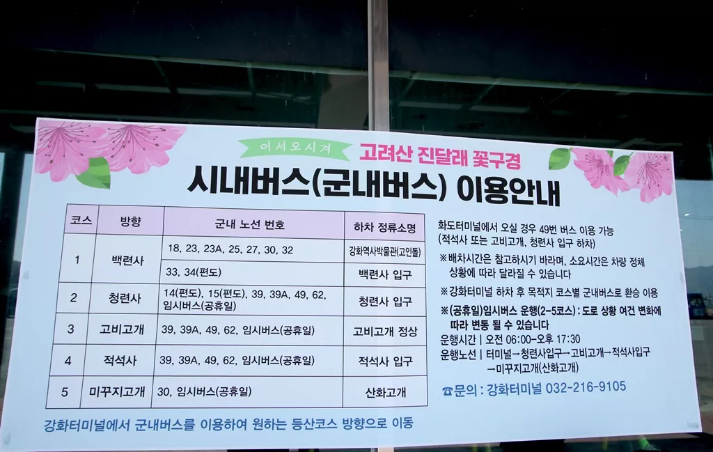 강화 터미널에 게시된 고려산 진달래축제 시내버스 이용 안내 현수막.
