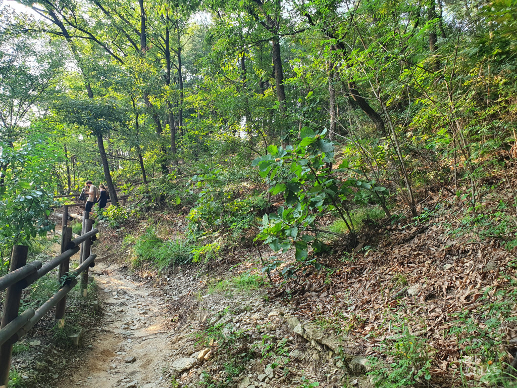 독산성 올라가는길