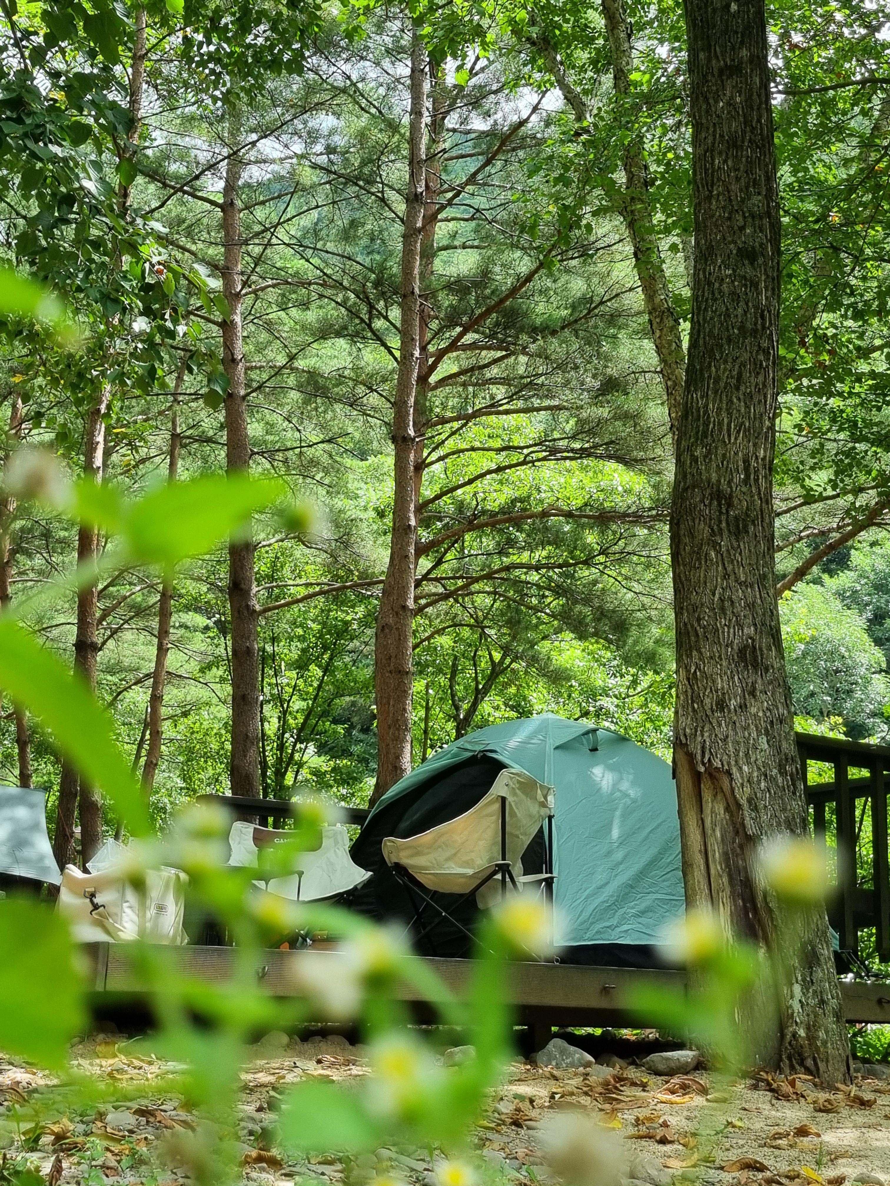 두타산자연휴양림 명당