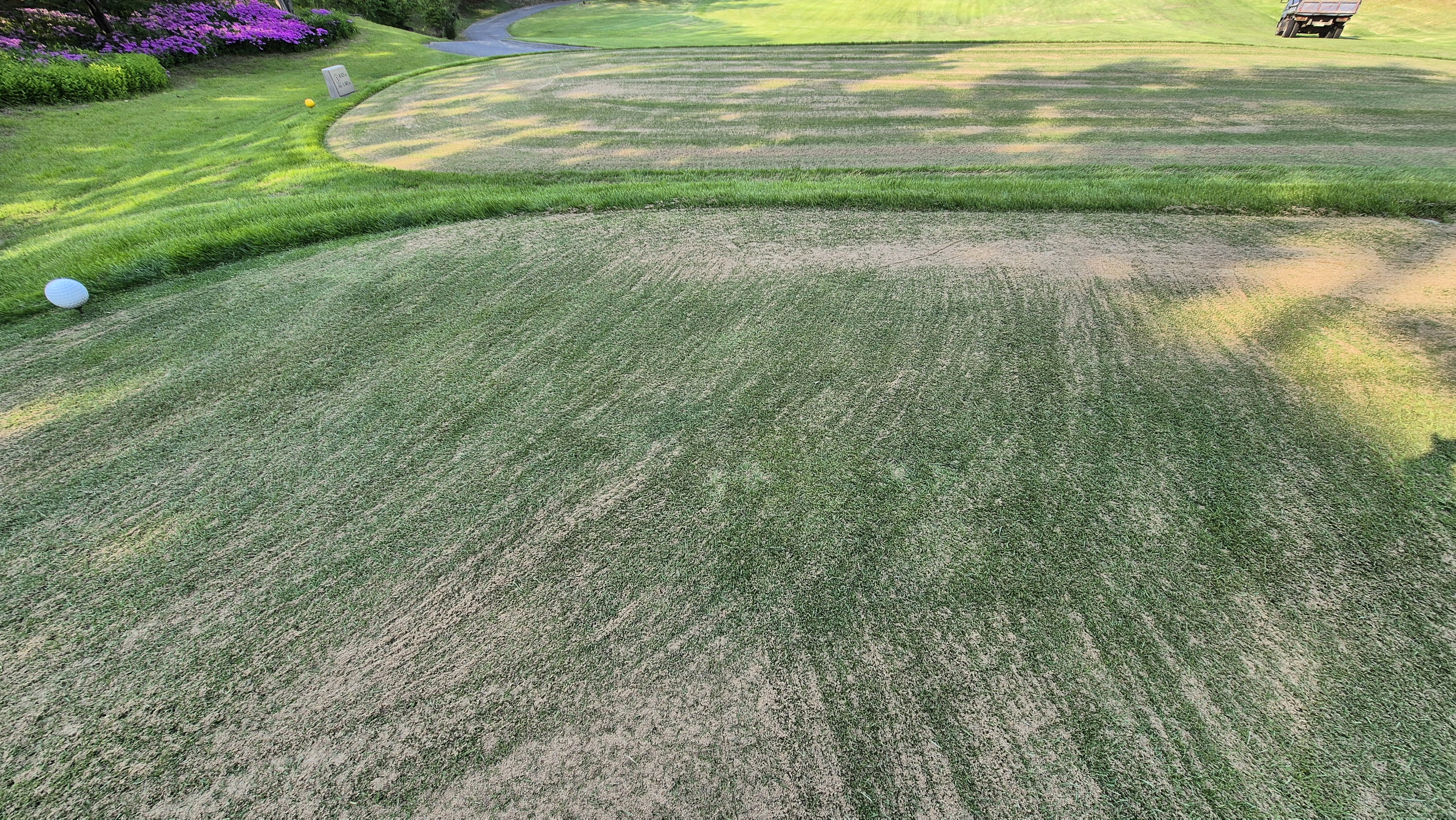 이포cc 라운드 후기