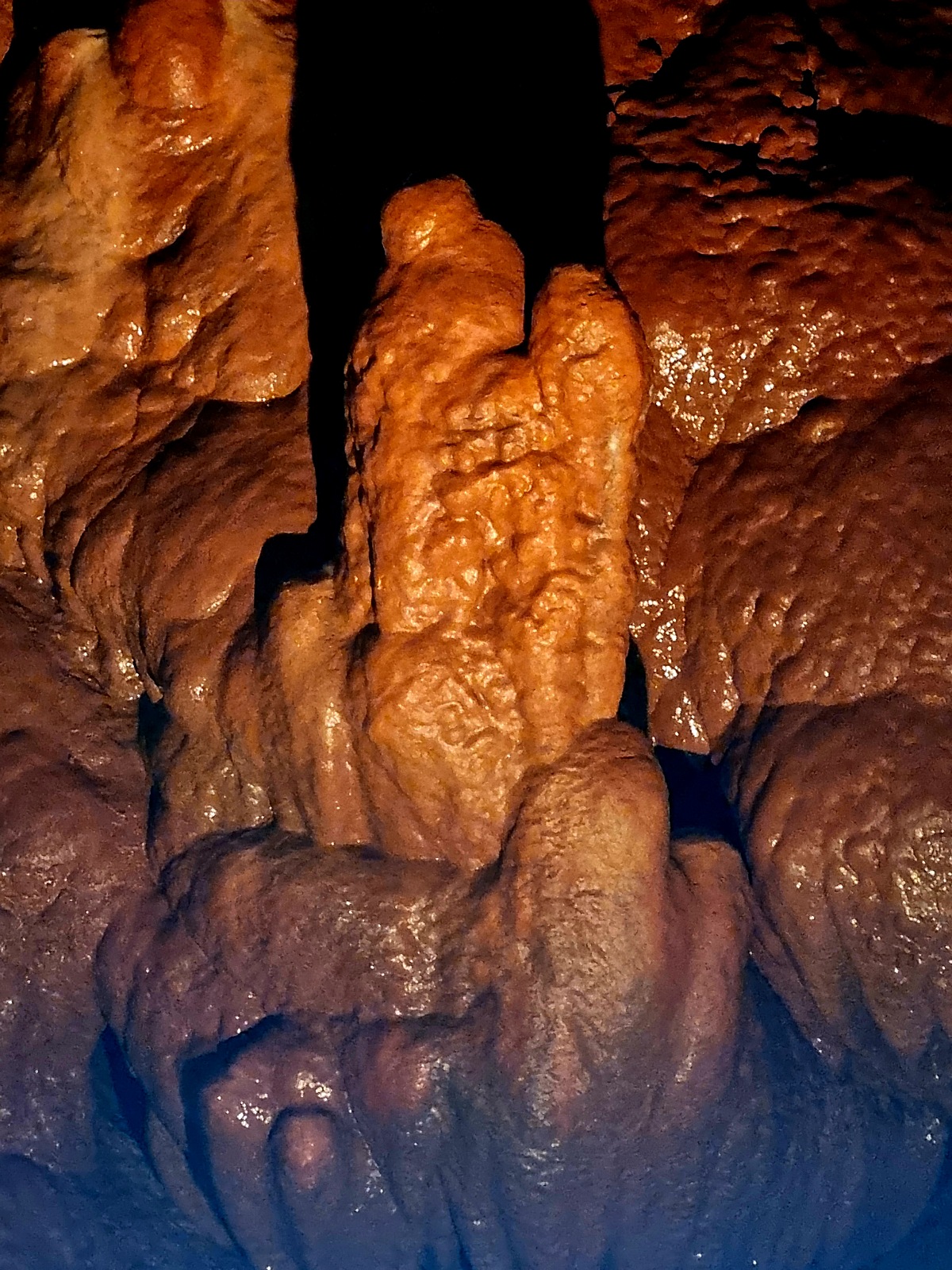 동해 가볼만한곳 천곡황금박쥐동굴 후기 비 오는 날 좋은 실내 여행지