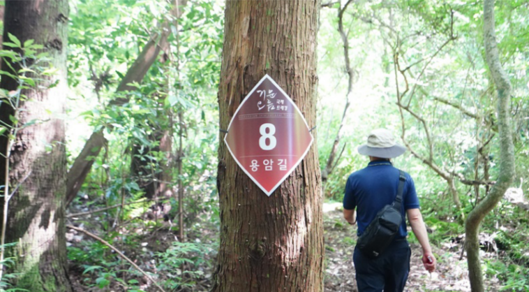 거문오름무료개방