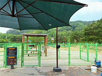 석수동 반려견 놀이터