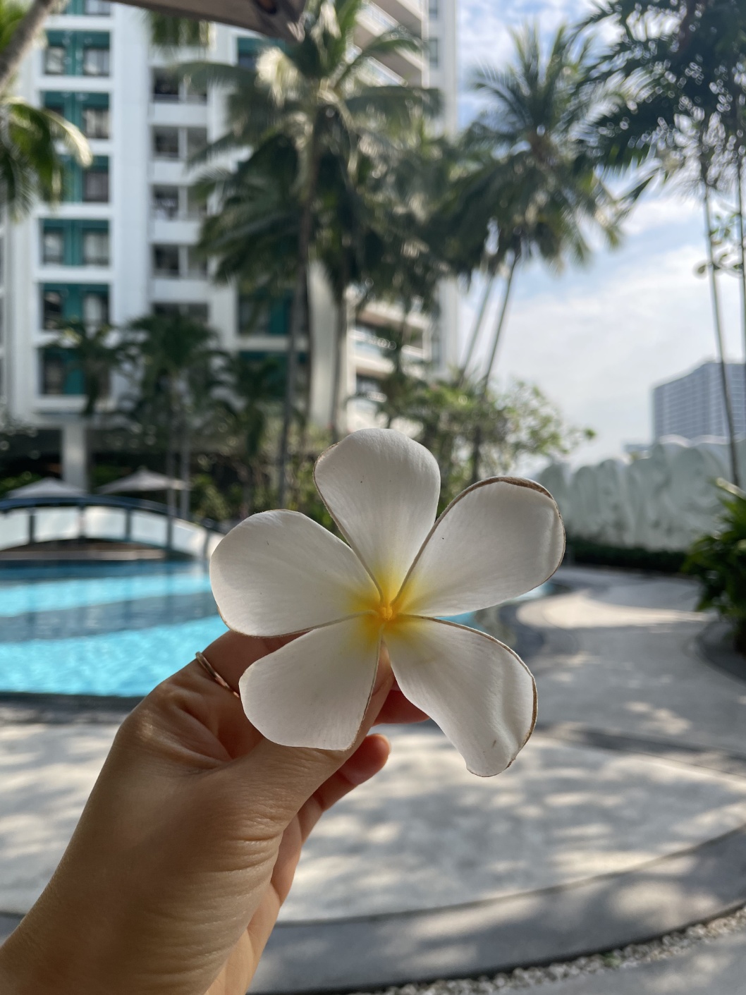 차트리움 레지던스 사톤 수영장