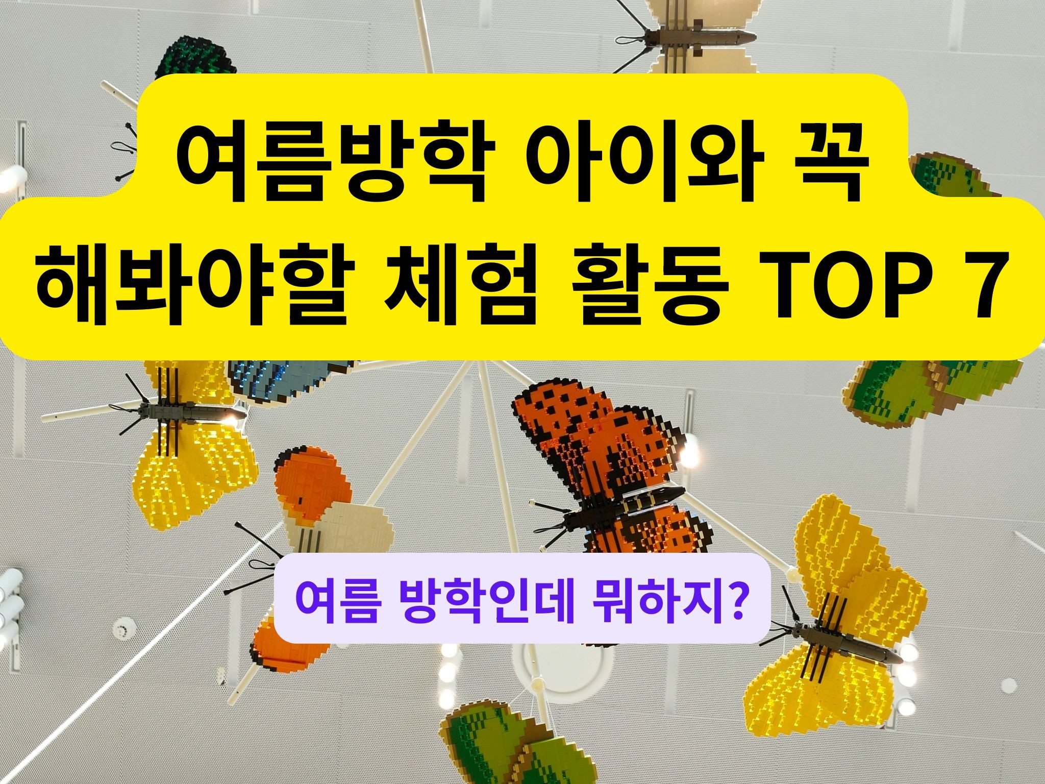 나비가 날아다니는 숲속 체험 공간