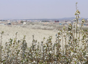 드라마 촬영지 눈물의 여왕