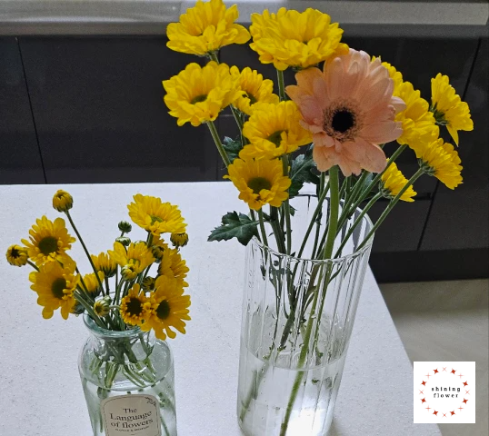 제철꽃 10송이 미니생화다발-국화와 거베라