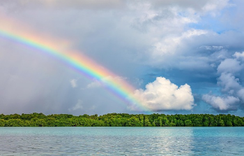 장마 시작일 2025년 최신 정보 19