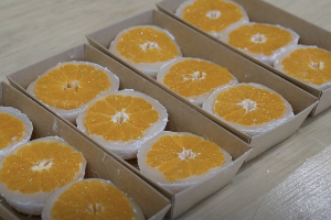 자이소 수제찹쌀떡