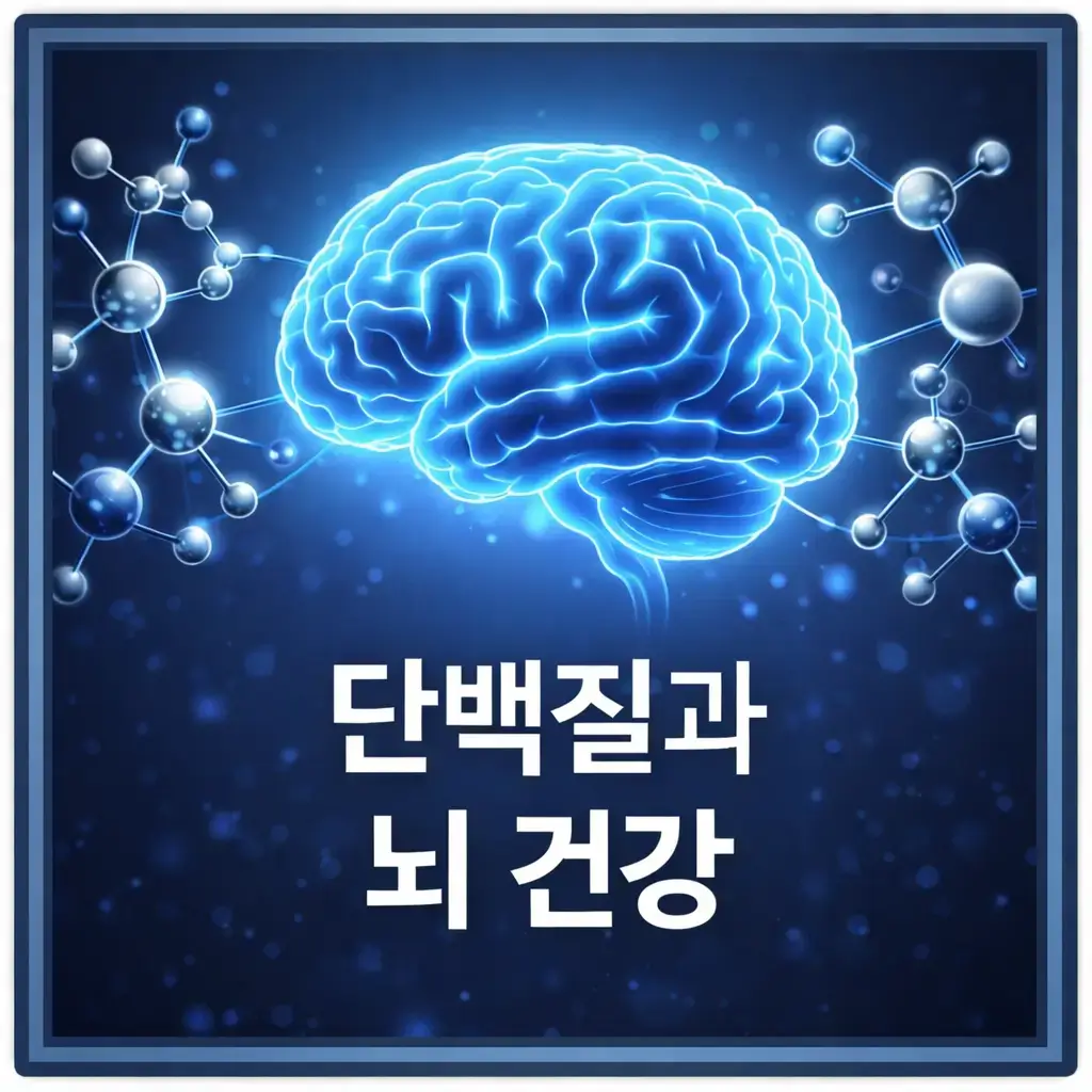 단백질이 뇌 기능 유지에 중요한 이유