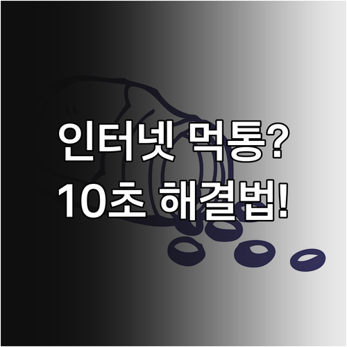 브라우저 캐시 삭제와 DNS 초기화로..