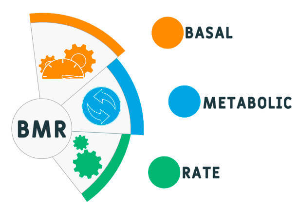기초대사량 계산기, 여자, 남자, 기초대사량 높이는 방법. 여러분의 신체 조건과 활동 수준에 기반하여 기초대사량을 빠르고 쉽게 추정할 수 있는 기초대사량 계산기가 많이 나와있습니다. 이 도구를 사용하면 성별, 나이, 체중, 키 등을 입력하여 개인의 기초대사량을 확인할 수 있으며, 올바른 영양 섭취 및 건강 관리에 도움이 됩니다.
