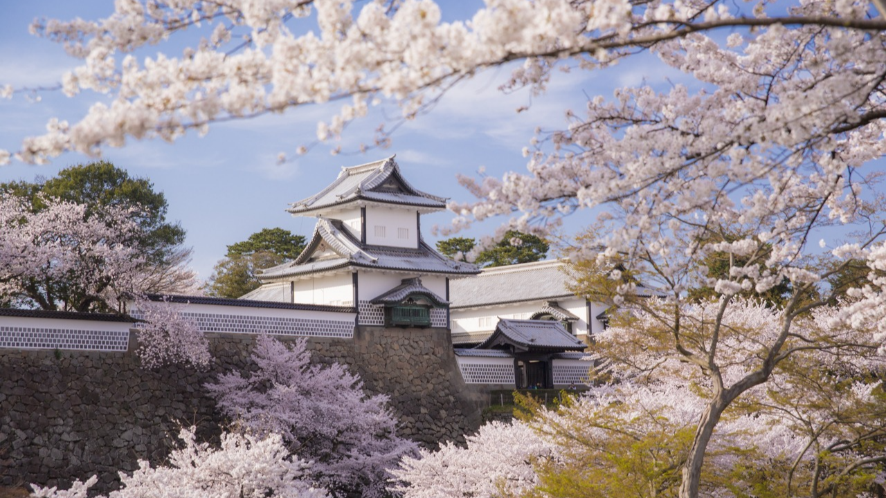 마에다 가문 가나자와성 공원 꽃 풍경