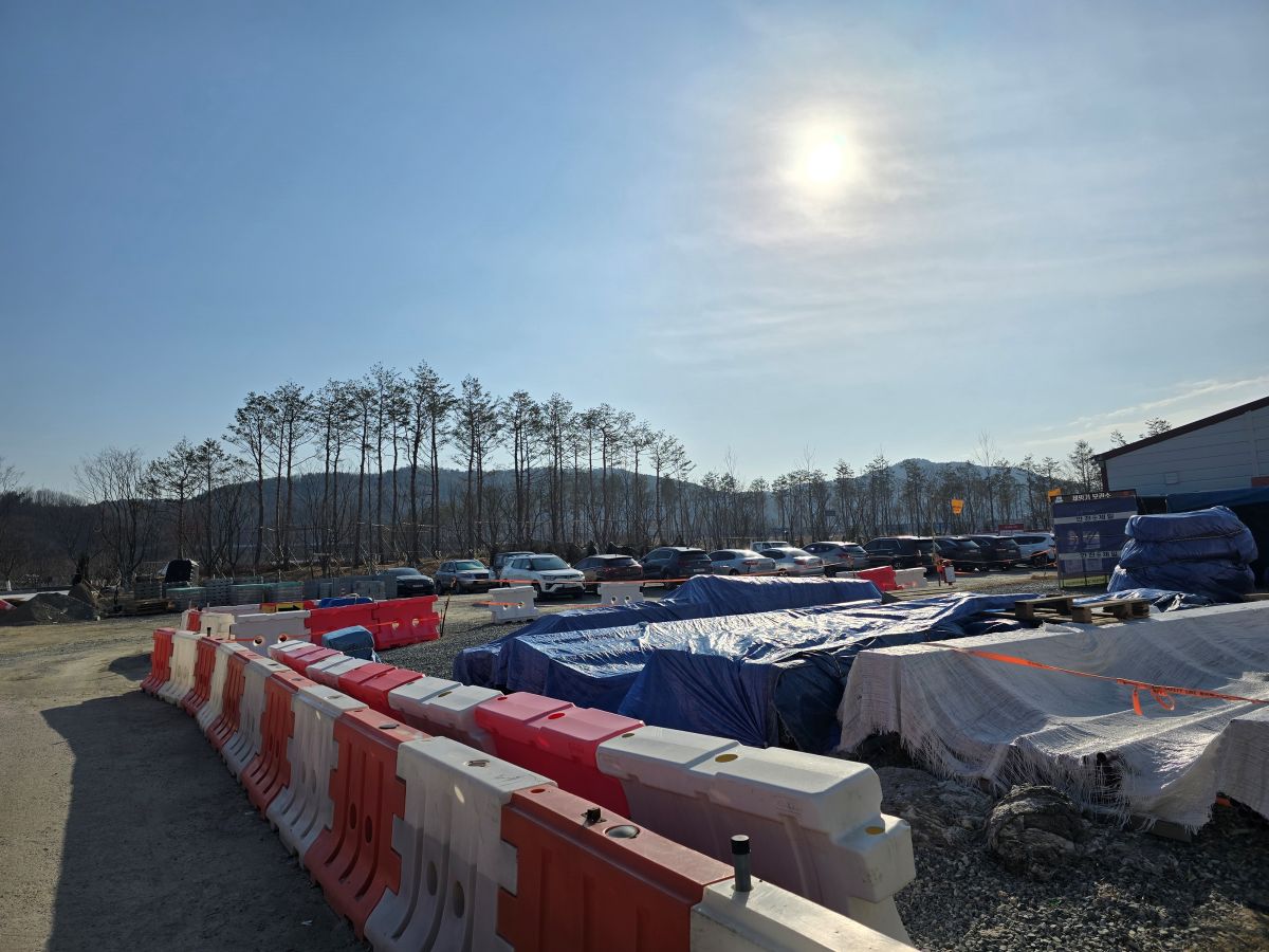 도안-호수공원-윗쪽-나무