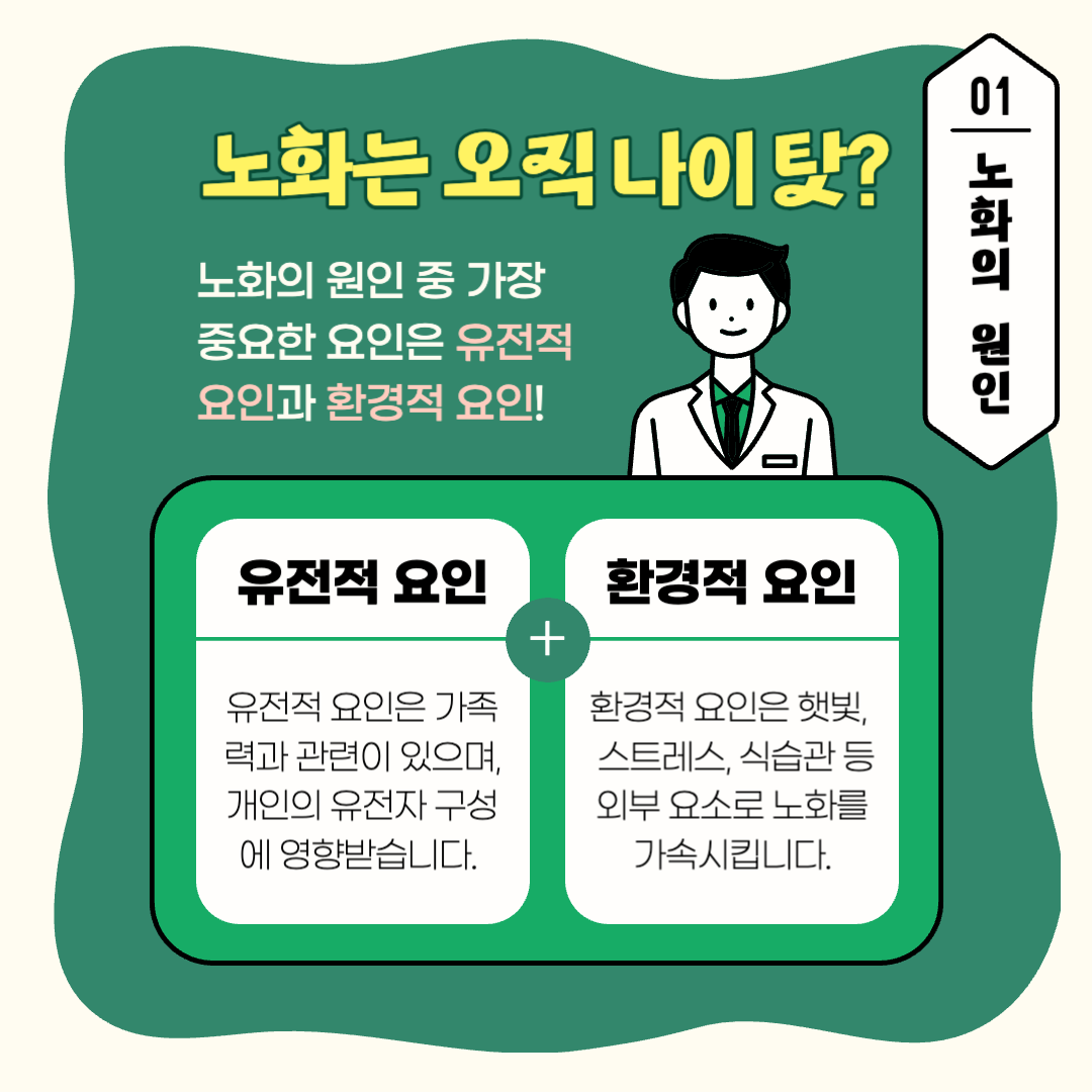 비문증 노화