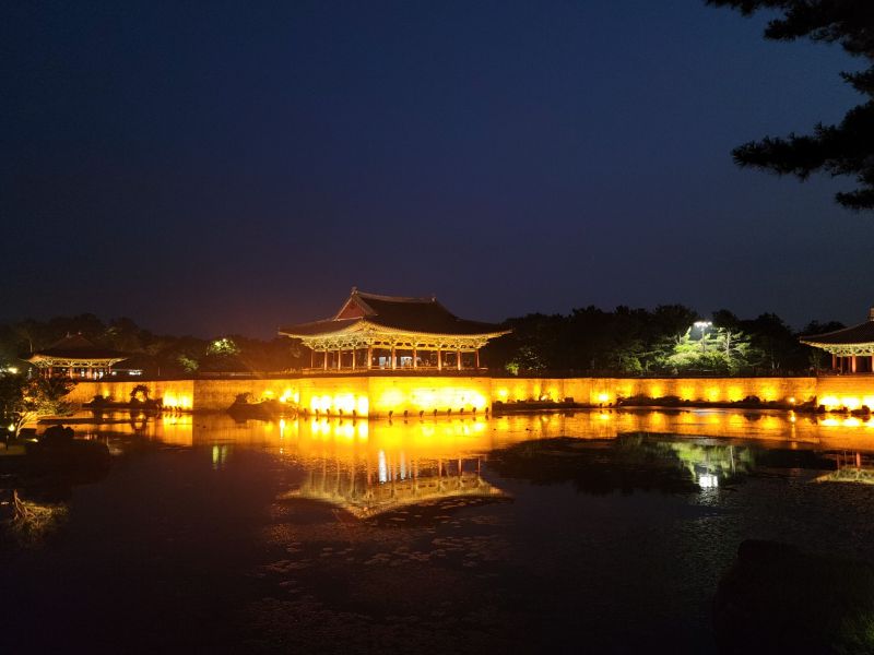 바람의언덕