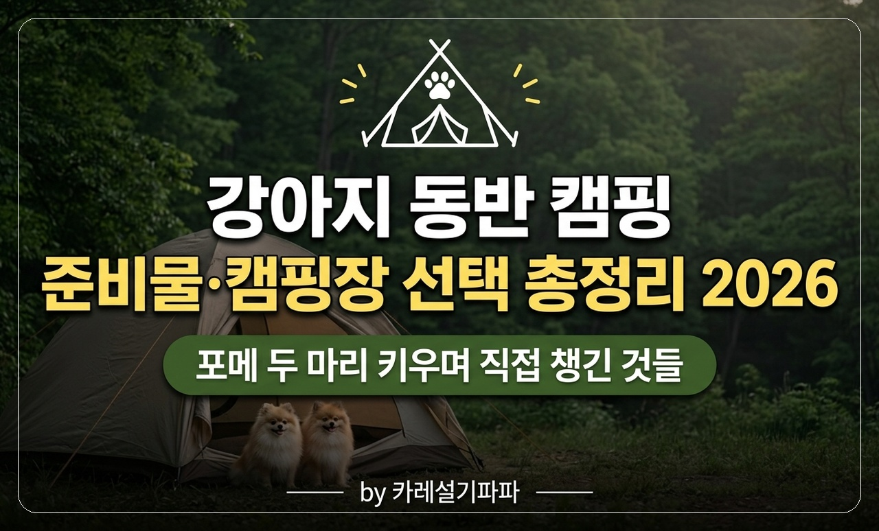 포메 두 마리 캠핑 썸네일