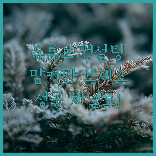 유튜브 컨설팅, 이제 전문가에게 맡겨