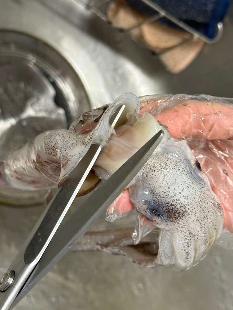 근막제거
