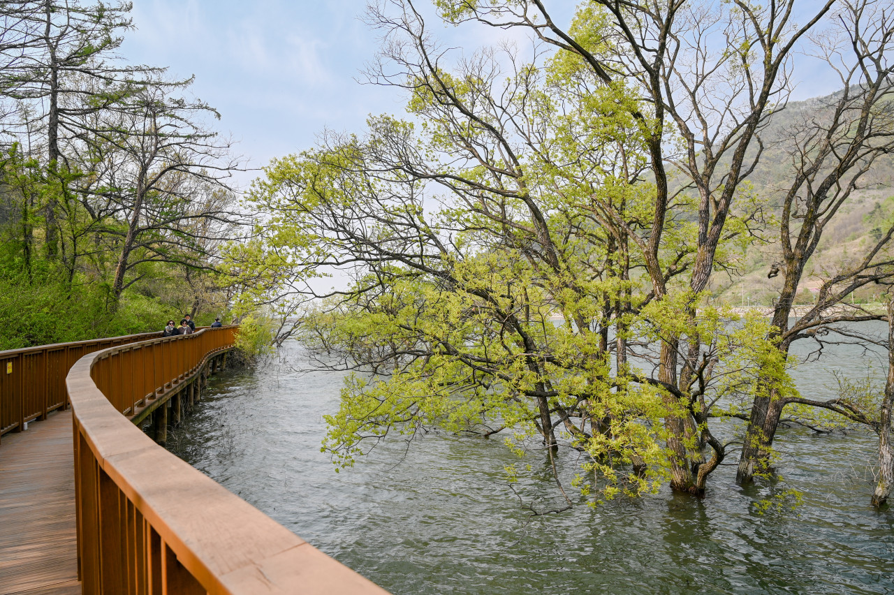 증평 가볼만한곳 베스트10