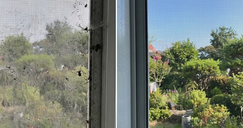 먼지 낀 방충망, 떼어내지 마세요! '신문지' 한 장이면 10분 만에 새것처럼 변합니다.
