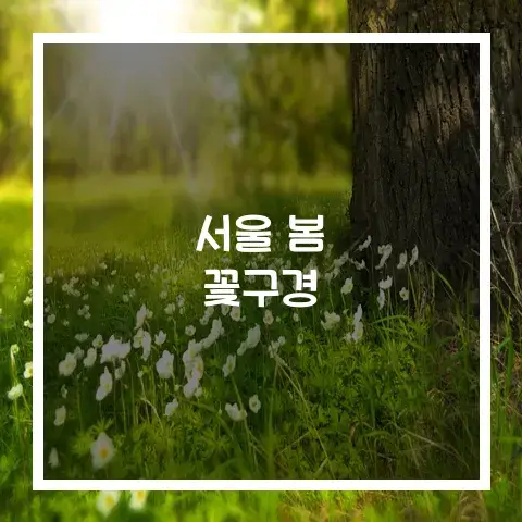 서울 봄 꽃 구경하기 추천 10곳