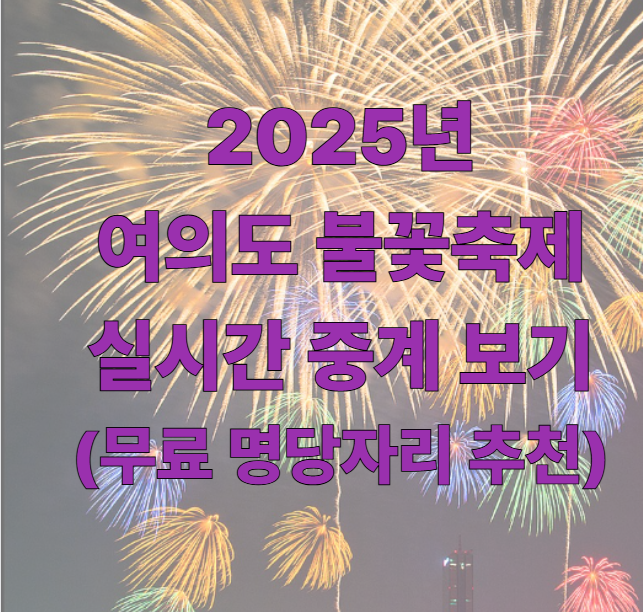 2025 여의도 불꽃축제 실시간 생중계 시청 방법(명당)
