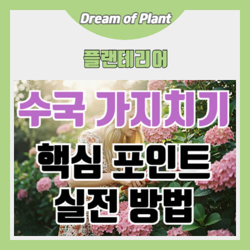 수국 가지치기 썸네일 이미지