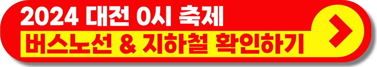 대전 0시 축제 주차장