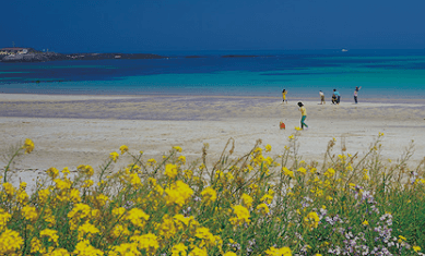 제주도 가볼만한 곳 추천