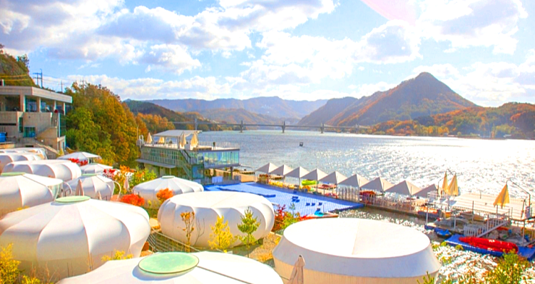 캠프통포레스토