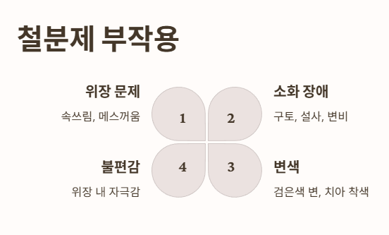 철분제 부작용