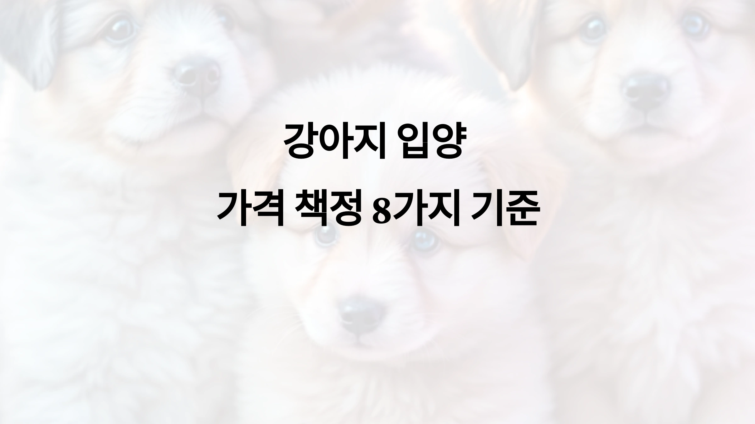 강아지 입양 가격이 책정되는 8가지 기준