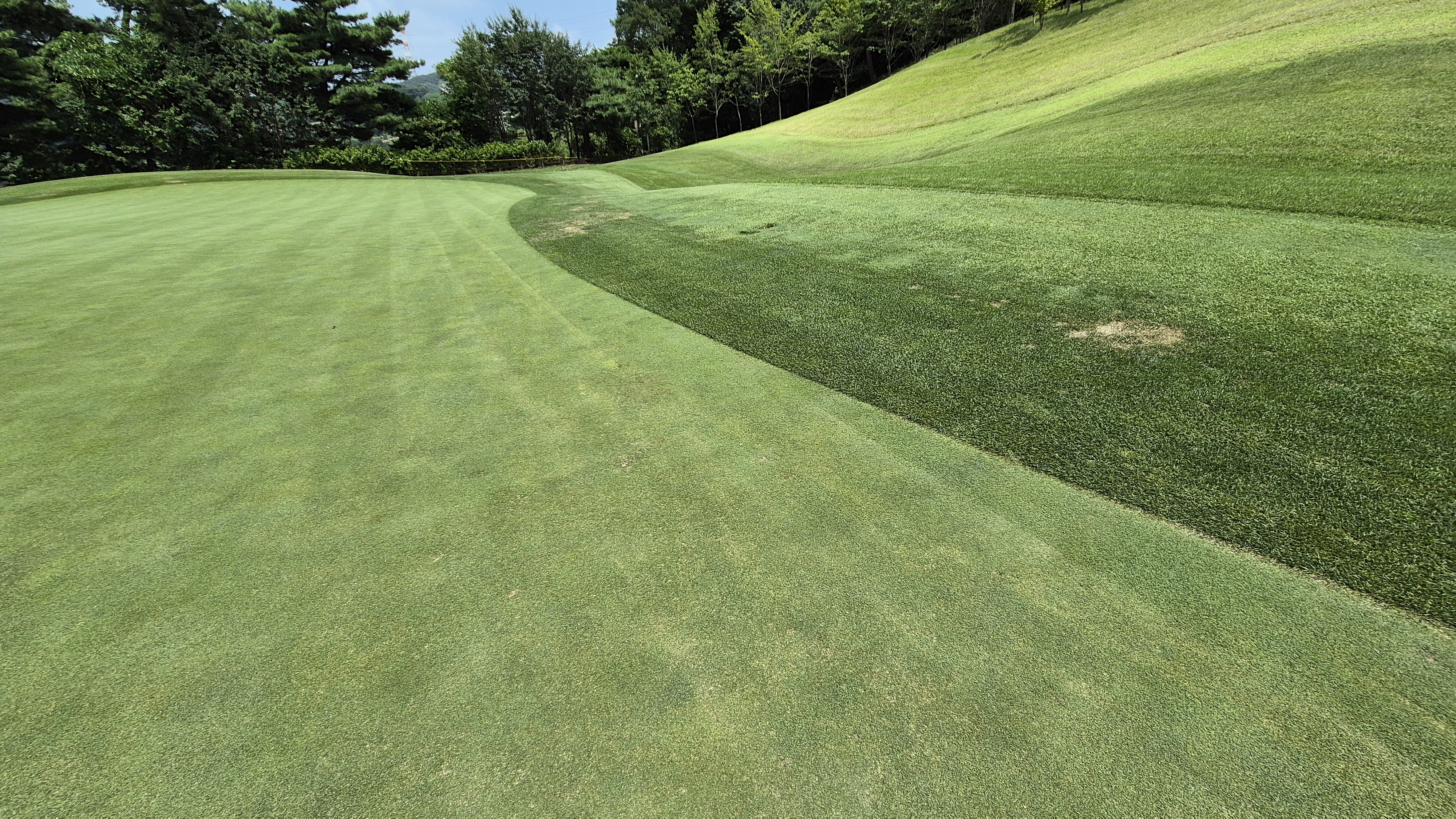 골프존카운티 안성H