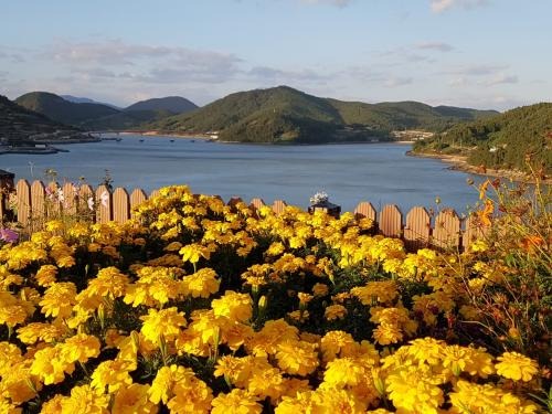 고흥 쑥섬 수국정원