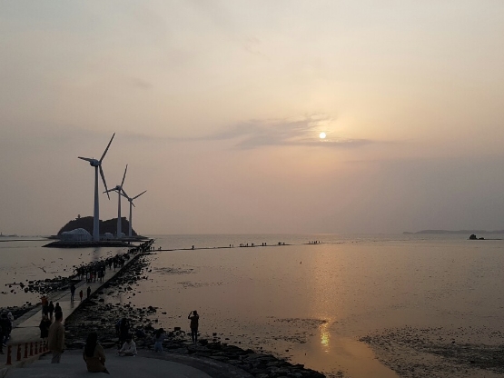 탄도항 노을캠핑장 배경5