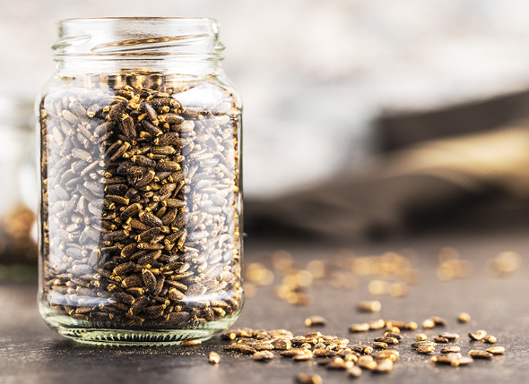 밀크시슬_장기섭취