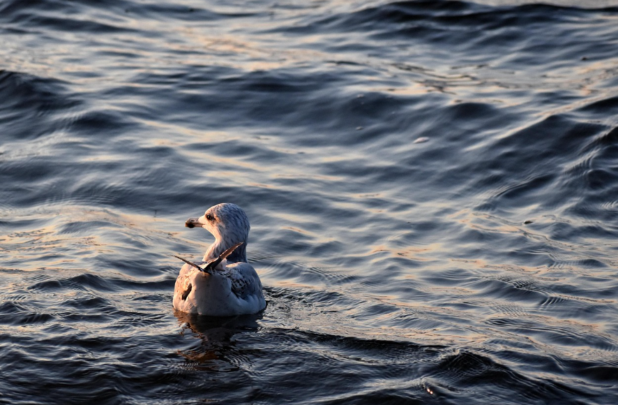 11월, 걷기 좋은 바다 마을 감성 여행지 5곳