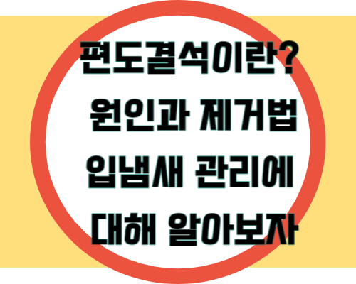 편도결석이란? 원인과 제거법&#44; 입냄새 관리 알아보기