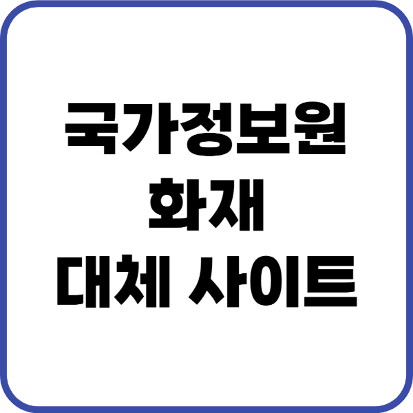 국가정보원 화재 대체사이트