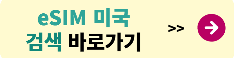 해외유심 eSIM 사용법