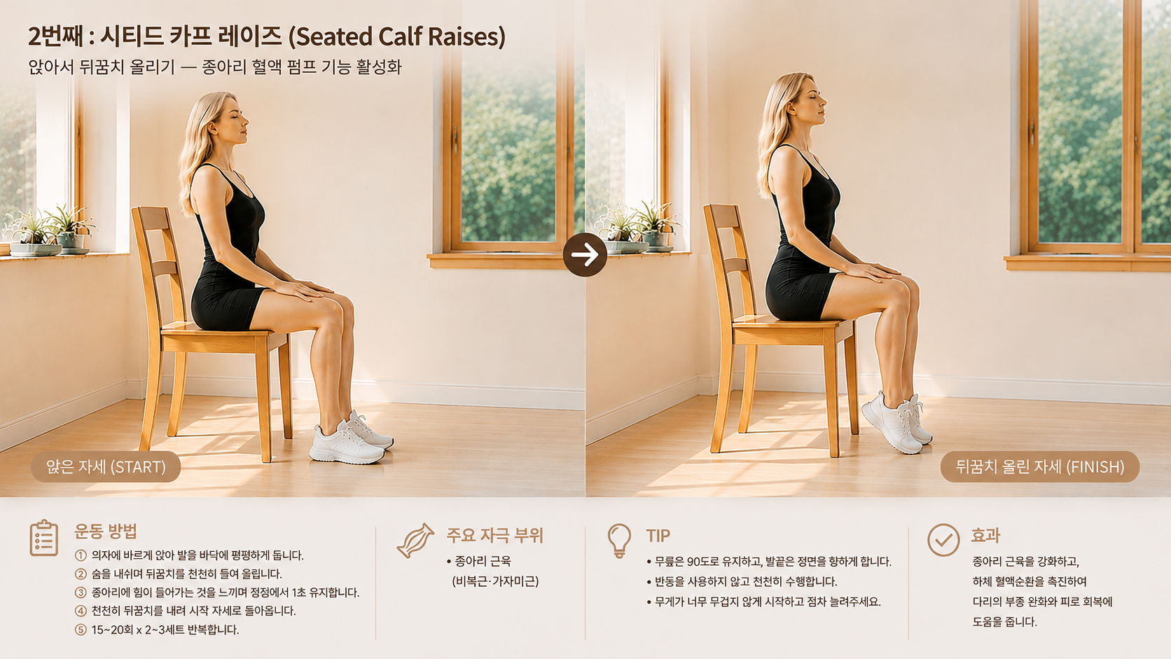 시티드 카프 레이즈(Seated Calf Raises): 앉아서 뒤꿈치 올리기 — 종아리 혈액 펌프 기능 활성화