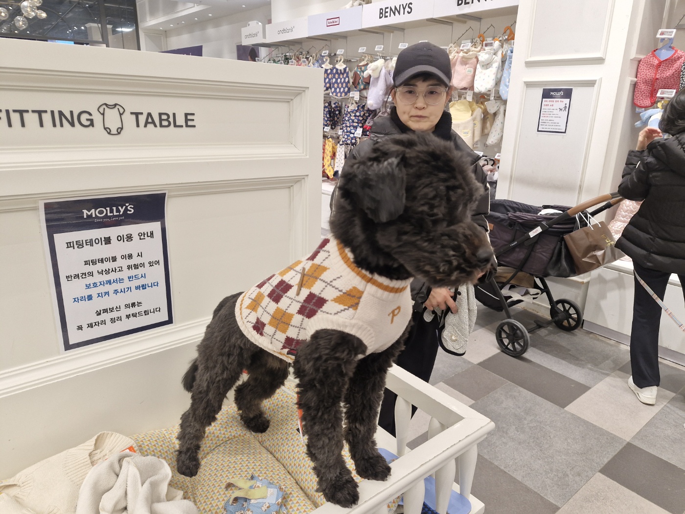 강아지 겨울철 위험 포인트