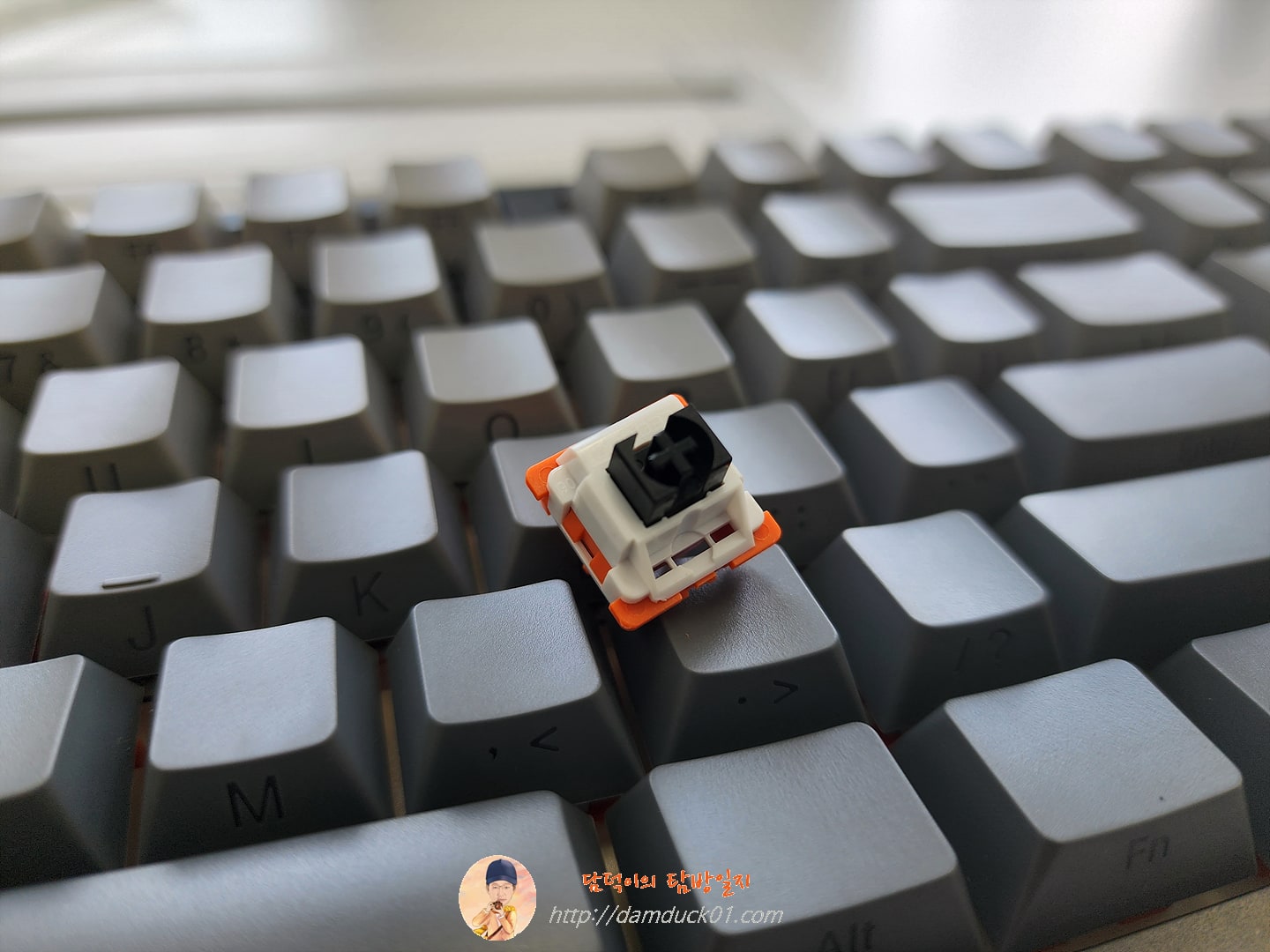 흑축 (LEOBOG Space Golden Axis)