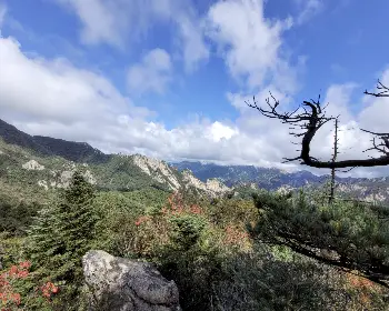 설악산 단풍, 절정 시기_4