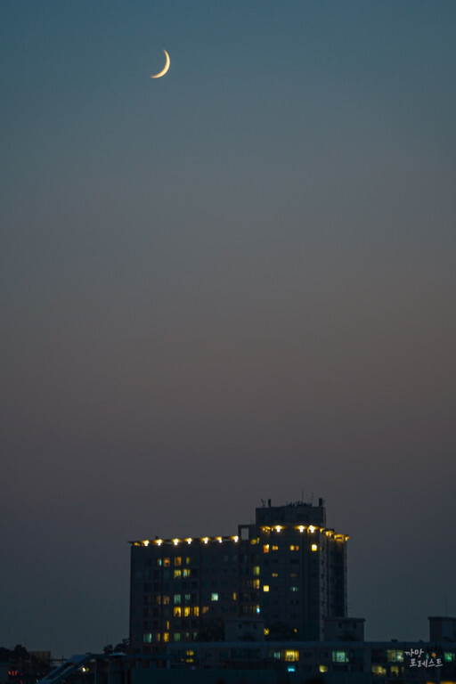 달맞이봉 공원 야경명소