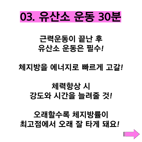 몸무게 말고 체지방률 줄이는 방법 4단계